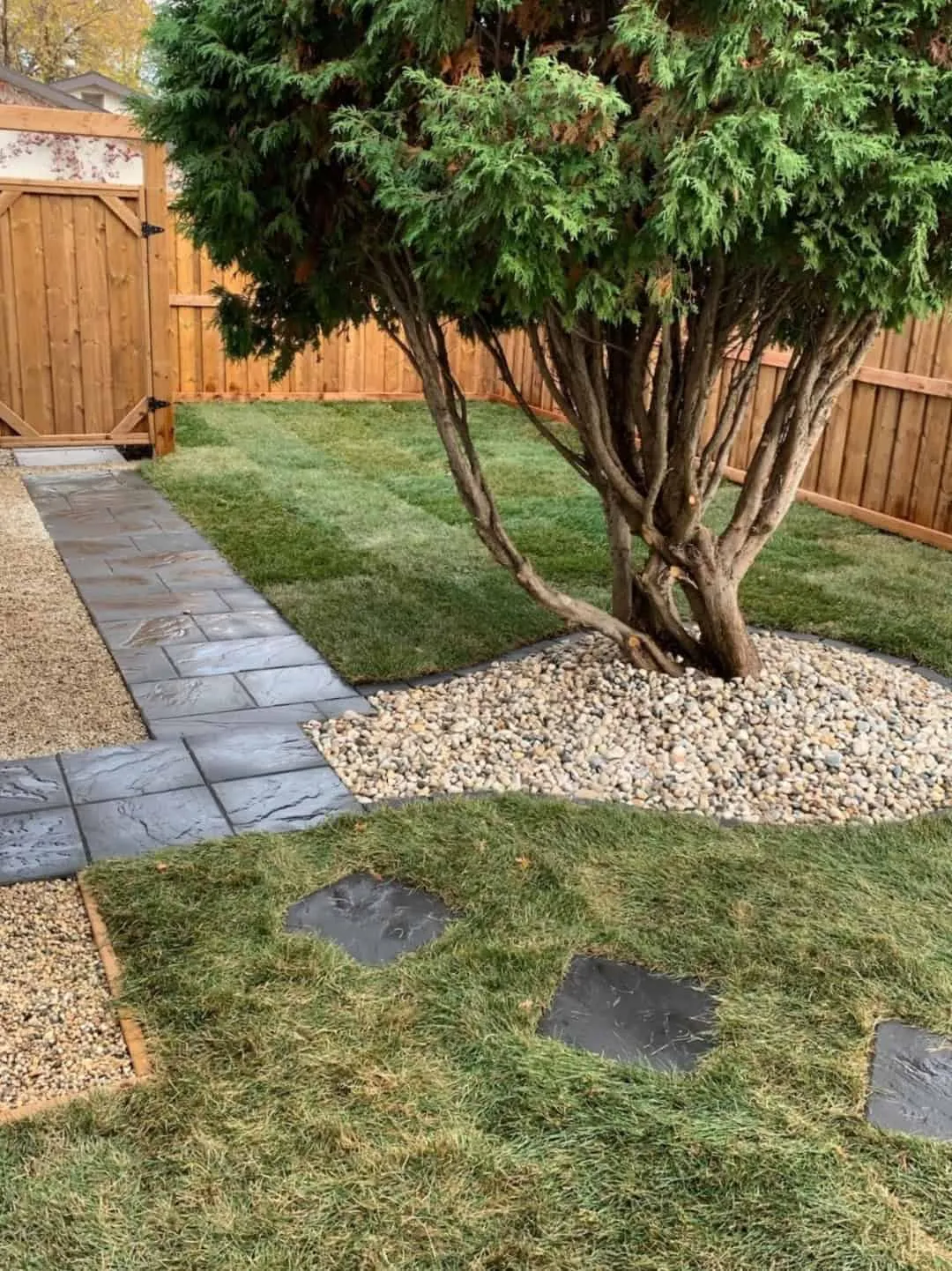 New sod, a river rock bed edged around a cedar tree, and slate stepping stones running to a garage door
