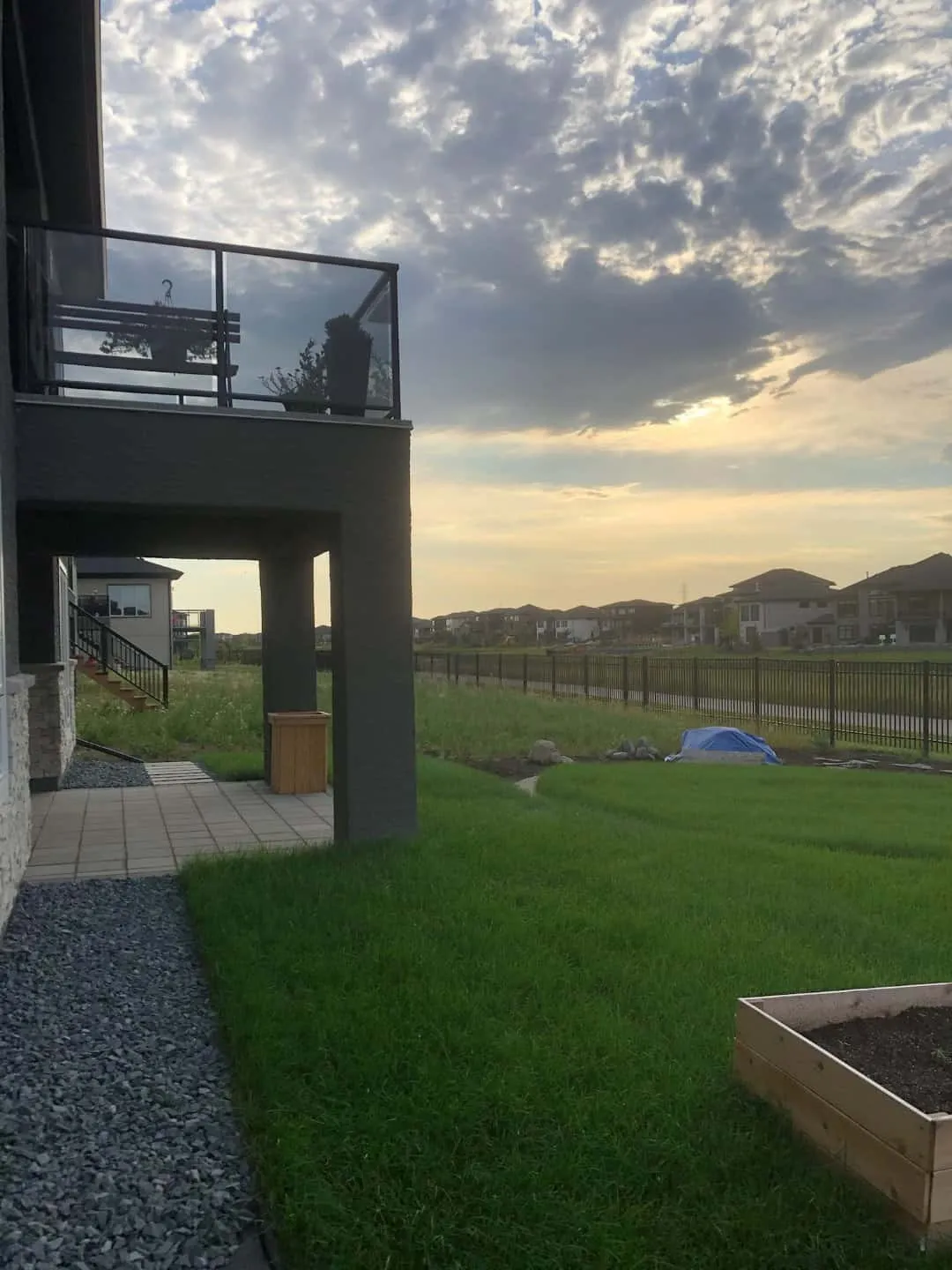 New sod and a gravel strip along a modern dark house at dusk, with a cedar raised garden box and an iron fence