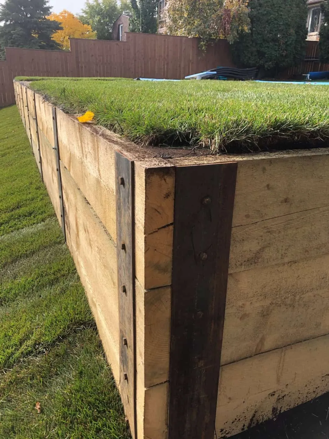 Timber retaining wall holding a grade change, with fresh sod laid right to its top edge