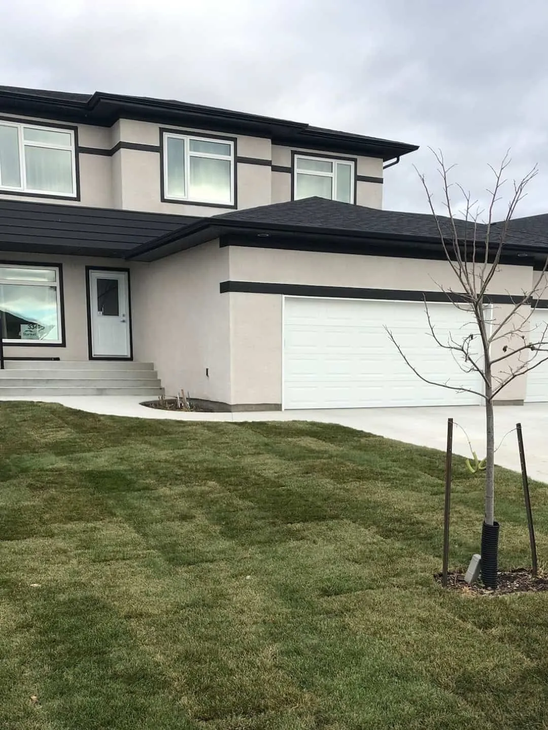 New sod front lawn and a staked young tree at a newly built house