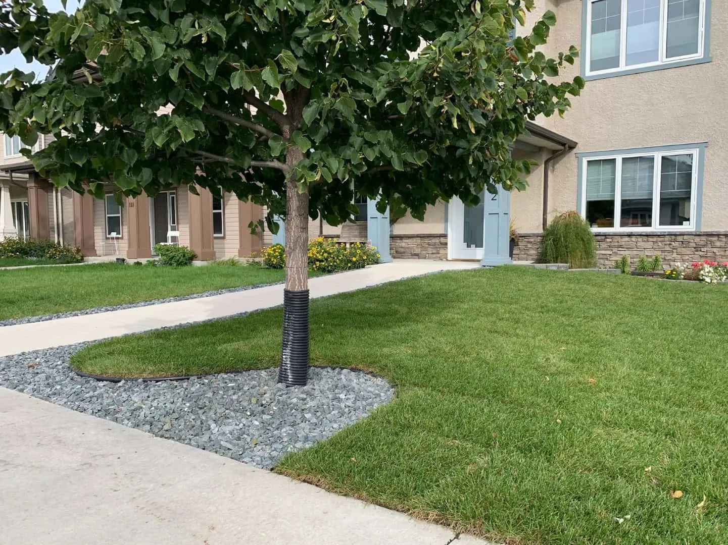Grey rock bed with black steel edging cut into a lawn around a mature linden