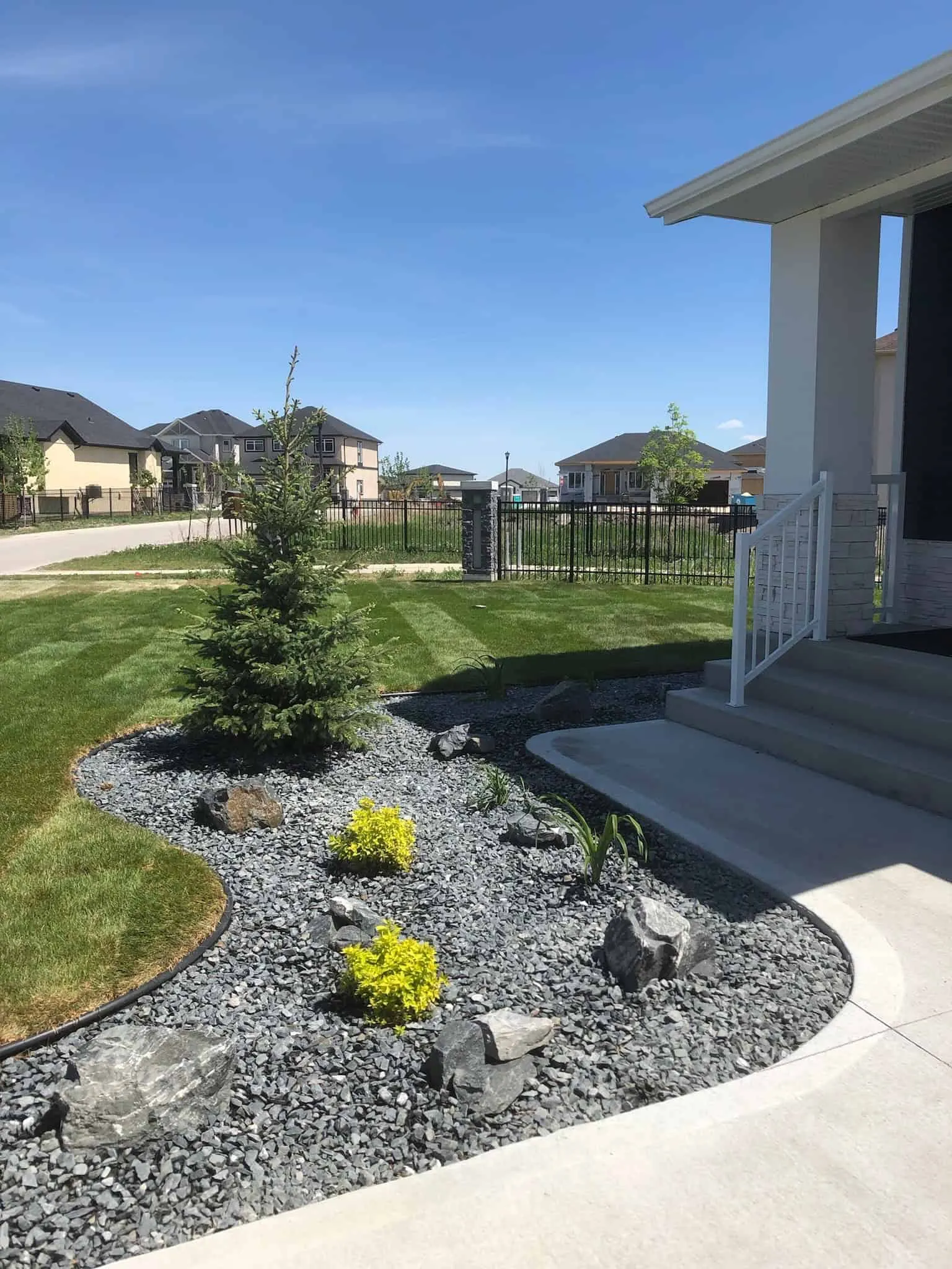 Grey rock bed set with boulders, a young spruce and gold shrubs, curving along a freshly cut lawn to a front entry