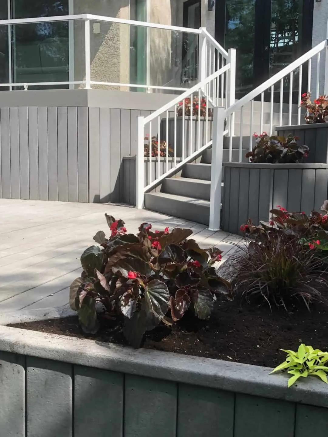 Begonias and purple fountain grass planted in a raised bed beside a composite deck
